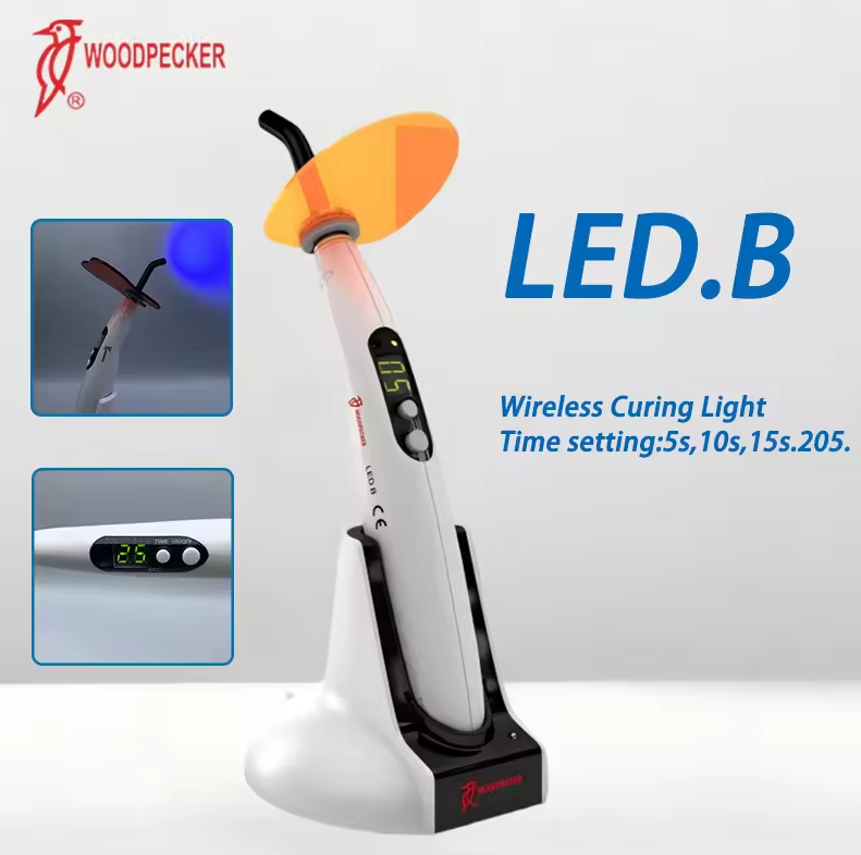 Dental Aushärtung Licht Specht – Teeth Whitening Light Bewertung und Preis