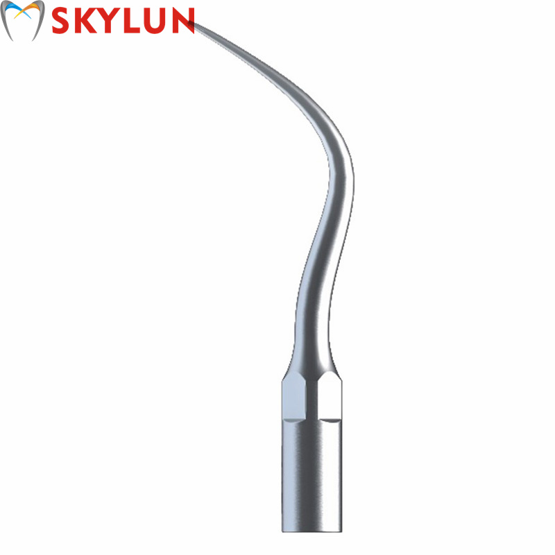5 Stück P4 Dental Ultraschall- – Teeth Whitening Professional Bewertung und Preis